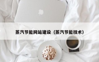 定州蒸汽节能网站建设（蒸汽节能技术）